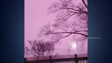 "온 세상이 분홍빛"...미국에서 포착된 진풍경