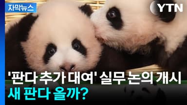 [자막뉴스] 한중 우호 상징 '판다'...추가 대여 가능성은?