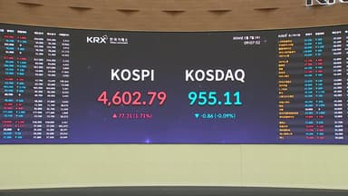 코스피 4,600도 뚫어...'14만 전자·76만 닉스' 기록