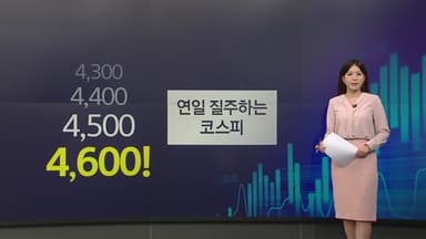 반도체가 끌어올린 4600선...대형주 쏠림 커져 [앵커리포트]