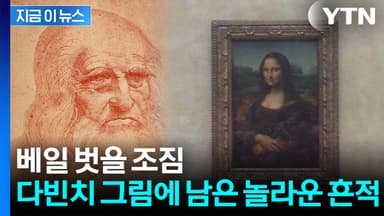 다빈치 그림서 나온 DNA...'천재의 비밀' 밝혀지나 [지금이뉴스]