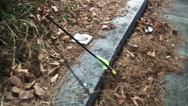 산책하는 여성 주변에 화살 쏜 20대 2명...출석 요구