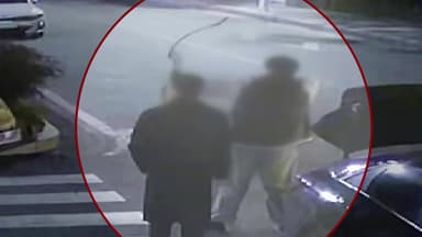 '산책 중인 시민 향해 양궁 화살' 20대 2명 입건