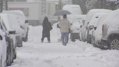 [날씨] 주말 강원, 휴일 서해안...최고 20㎝ '대설' 뒤 강력 한파