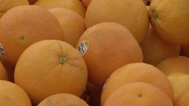 가격은 낮고 당도는 높고...무관세 만다린의 '공습'