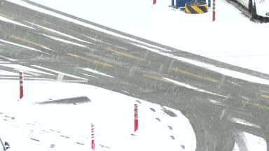 [날씨] 전국 강한 눈...강원·전남 서해안 15cm↑ 폭설