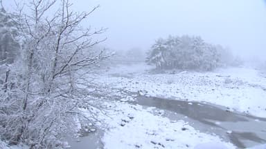 눈에 이어 강풍도 '비상' ...내일 한파에 서해안 폭설