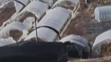 전국에 강풍 경보·주의보...제보로 본 피해 상황