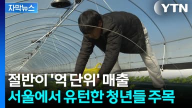 [자막뉴스] "웬만한 직장인보다 더 벌어요"...몰려오는 청년들