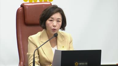 '강선우 1억' 김경, 오늘 오후 입국..."최대한 빨리 조사"