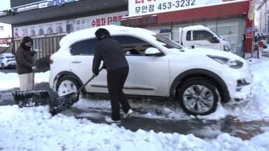 전남 최고 20㎝ 이상 폭설...바닷길·하늘길 통제