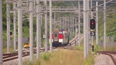 "50분 거리가 10분으로"...전남 교통 혁명 '속도'