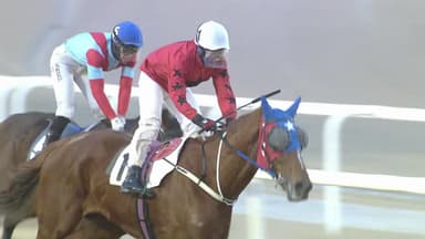 [주간 경마] 얼마나 대단하면? 닉스고 도입 기념경주