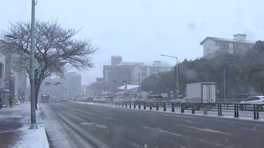[날씨] 중부 중심 눈비, 경기·강원 '대설예비특보'...미끄럼 사고 유의