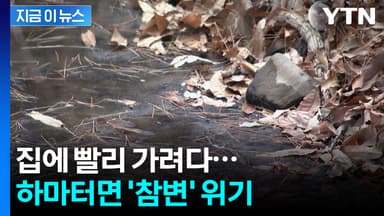 집에 빨리 가려다...하마터면 '참변' 위기 [지금이뉴스]