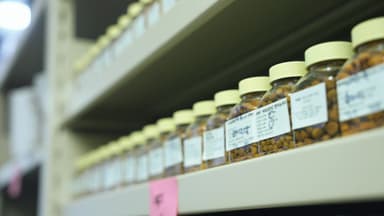 "사료 아닌 식품"...2조 원대 'K-펫푸드' 시장 노린다