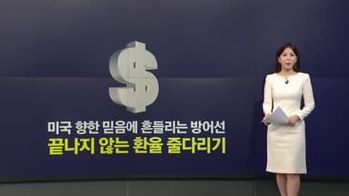 환율 눌렀더니 '저가 매수 '확산...당국·시장 간 '줄다리기' [앵커리포트]