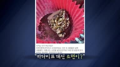 두쫀쿠 사기 조심...카다이프 대신 멸치? 소면? [앵커리포트]