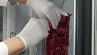 [녹색] "3주 숙성을 단 이틀 만에"...적외선이 만든 '마법의 소고기'