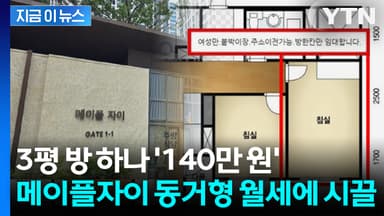 3평 방 하나 '140만 원'... 메이플자이, 동거형 월세 등장에 시끌 [지금이뉴스]