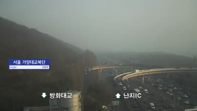 [날씨] 스모그에 산불 연기 가세...서울 대기질 '매우 나쁨'