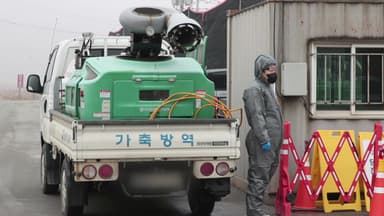 충남 당진 산란계 농가 고병원성 AI 발생...매몰 처분