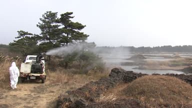 "기존보다 10배 독하다"...제주 전역 AI 항원 검출에 '비상'