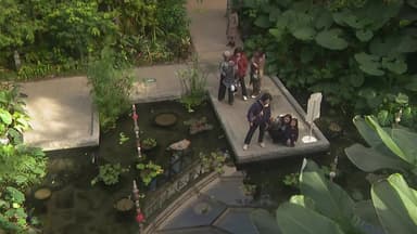 따뜻한 온실서 초록 휴식...도심 속 식물원 '북적'