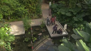 미세먼지 피해 온실 산책...도심 속 식물원 '북적'