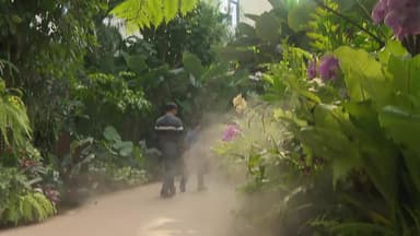 미세먼지 잊고 '초록 휴식'...도심 속 식물원, 북적