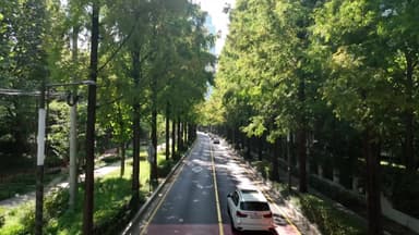 산사태는 '족집게' AI로...폭염·미세먼지는 '3-30-300' 숲이 해결사