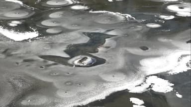 [날씨] 서쪽 대기 질 '나쁨'...내일 밤부터 강력 한기 남하