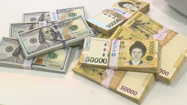 [스타트 경제] 금융당국, '환율 방어' 총력전...IMF "한국, 환율충격 취약"