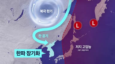 [뉴스UP] 이름값 톡톡히 하는 '대한'...매서운 강추위 원인은?