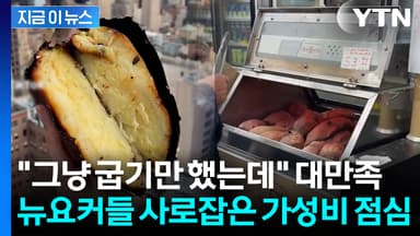 고물가에 울던 뉴요커들 '난리통'...K군고구마에 푹 빠졌다 [지금이뉴스]