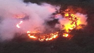 울산 산불 2시간 만에 진화...산불 조심 기간 조기 시행