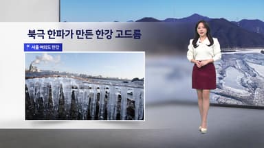 [이슈날씨] 내일도 북극 한파 계속... 호남 서해안·제주도 밤사이 눈