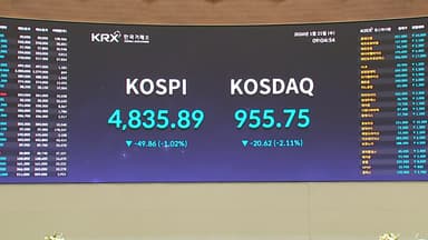 4,900선 아래서 쉬어간 코스피...5천선 고지 밟을까?