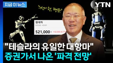 "지구상 현대차그룹과 테슬라뿐"...폭풍 질주하는 주가 [지금이뉴스]