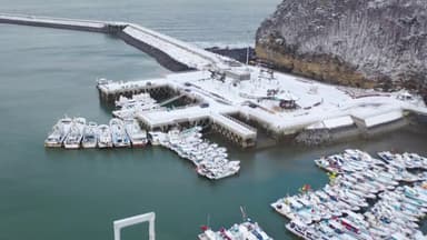 매서운 칼바람에 인적 끊긴 항구...서해안 내일까지 눈