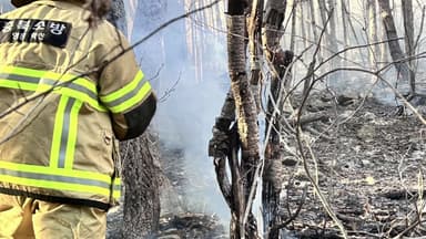충북 영동 야산에서 불...1시간 반 만에 진화