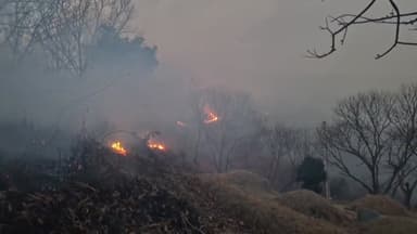 전국 곳곳 밤새 진화...전남 광양 산불 진화율 80%
