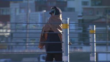 '한파 절정' 서울 체감 -20℃...서해안 대설주의보