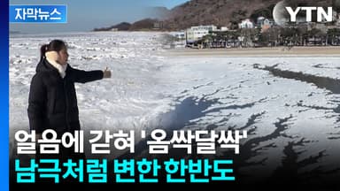 [자막뉴스] 분명 해수욕장이었는데...바다 모습까지 바꾼 '극한 한파'