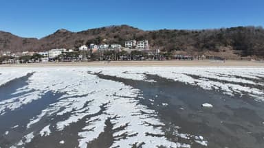 [날씨] "남극에 온 것 같아요"...물결 그대로 얼어붙은 파도