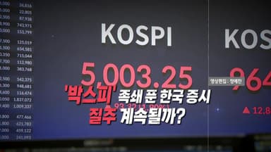 [영상] 사상 첫 꿈의 '5천피'...코스피 질주 이어질까?