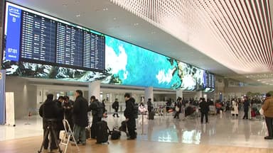 캄보디아 한국인 범죄 피의자 73명 곧 도착...이 시각 공항