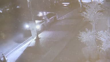 '불송치 결정' 나나, 자택 침입 강도 무고죄로 고소