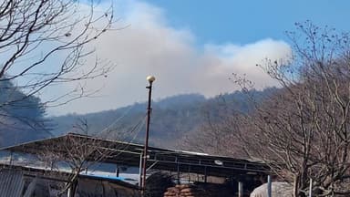 경북 봉화군 야산에 불...1시간 50분 만에 꺼져