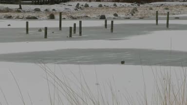 '북극 한파' 닷새째...밤사이 내린 눈에 미끄럼 '비상'